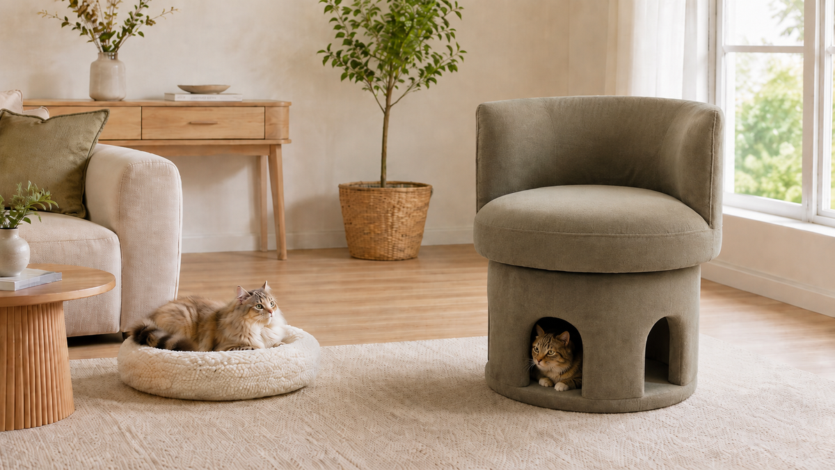 Accent Chair with a Cat Hideaway vs. Cat Bed: Which Fits Your Home Better?