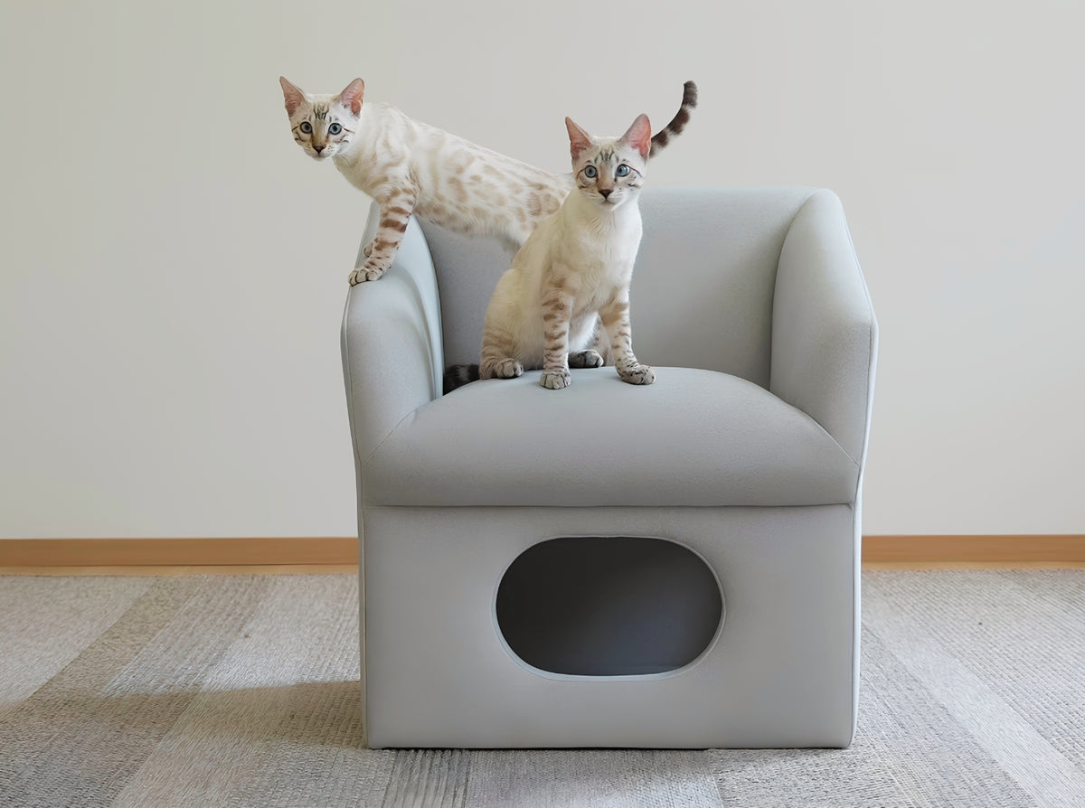 Two cats on a cat-friendly accent chair with built-in hideaway